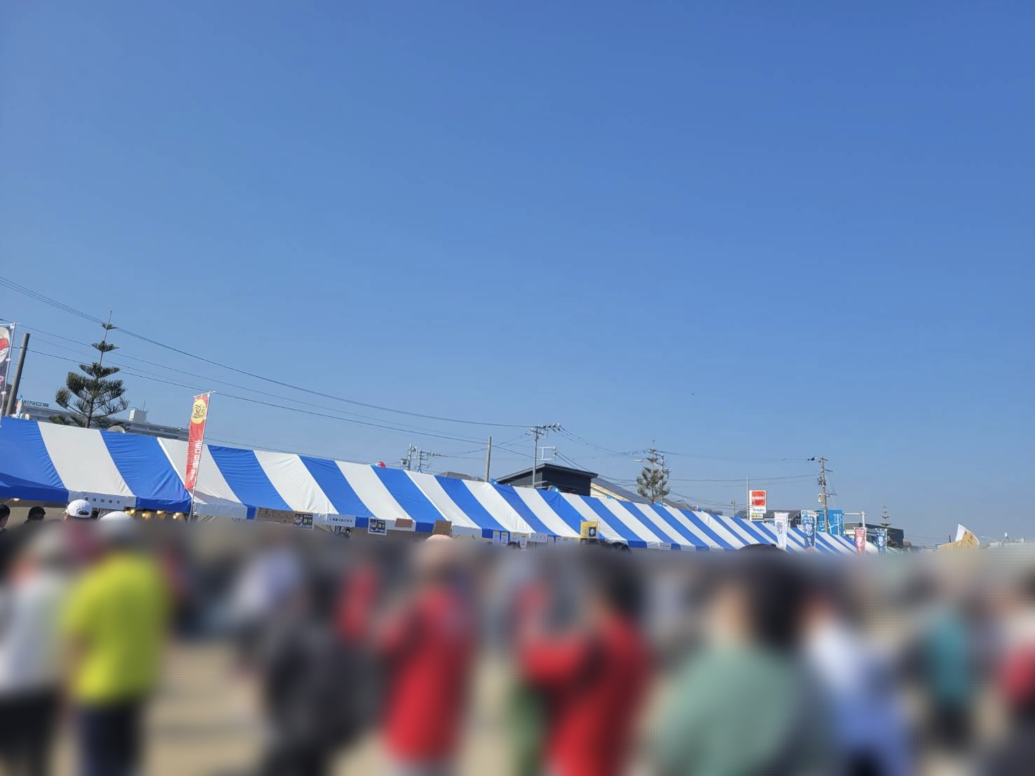 三浦国際市民マラソンを他のハーフマラソンと比較！コースや環境の違いとは？